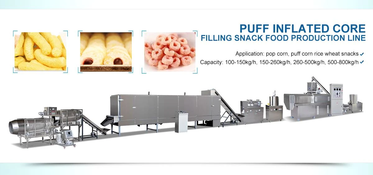 puffed food  equipment